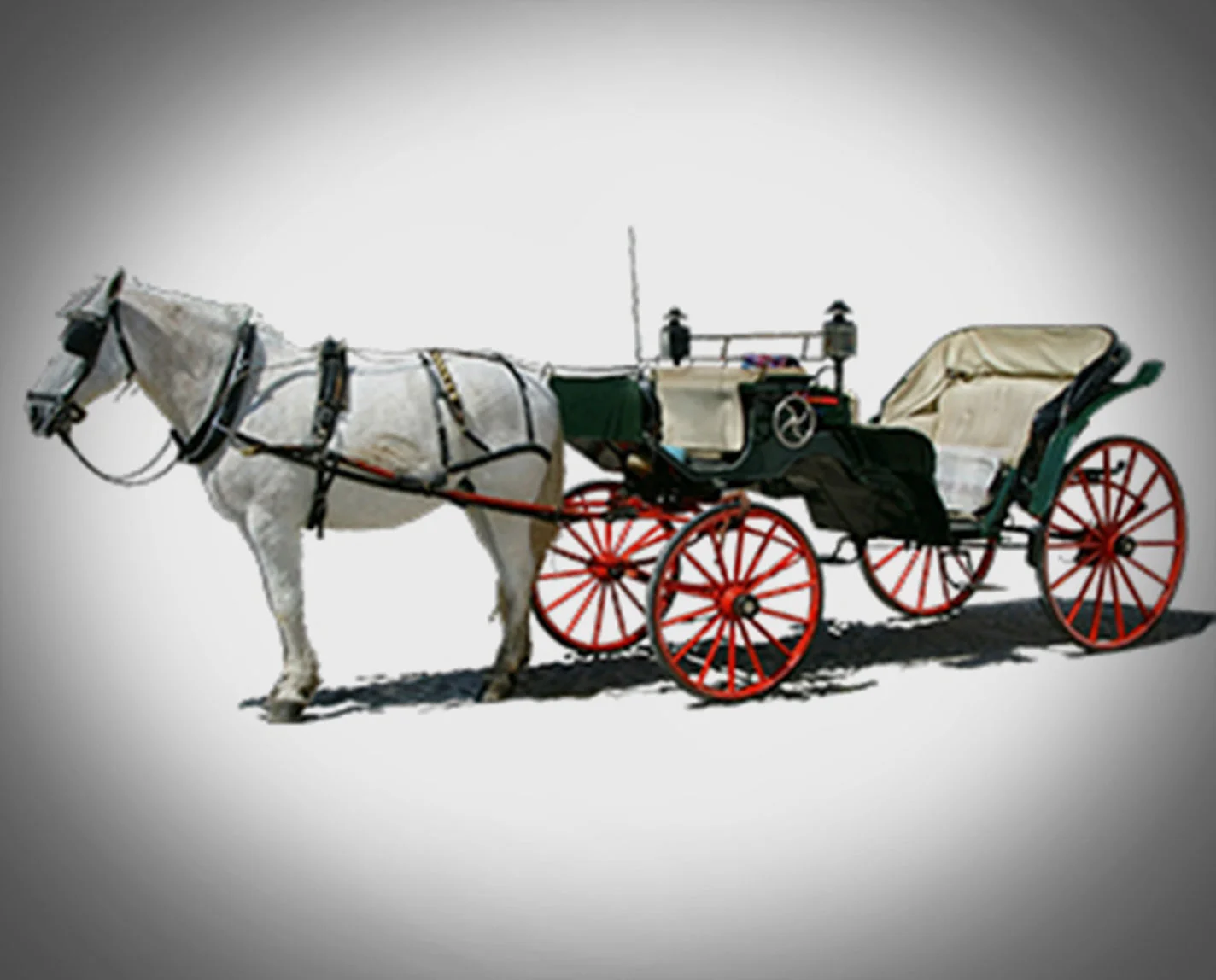 Horsing Cart