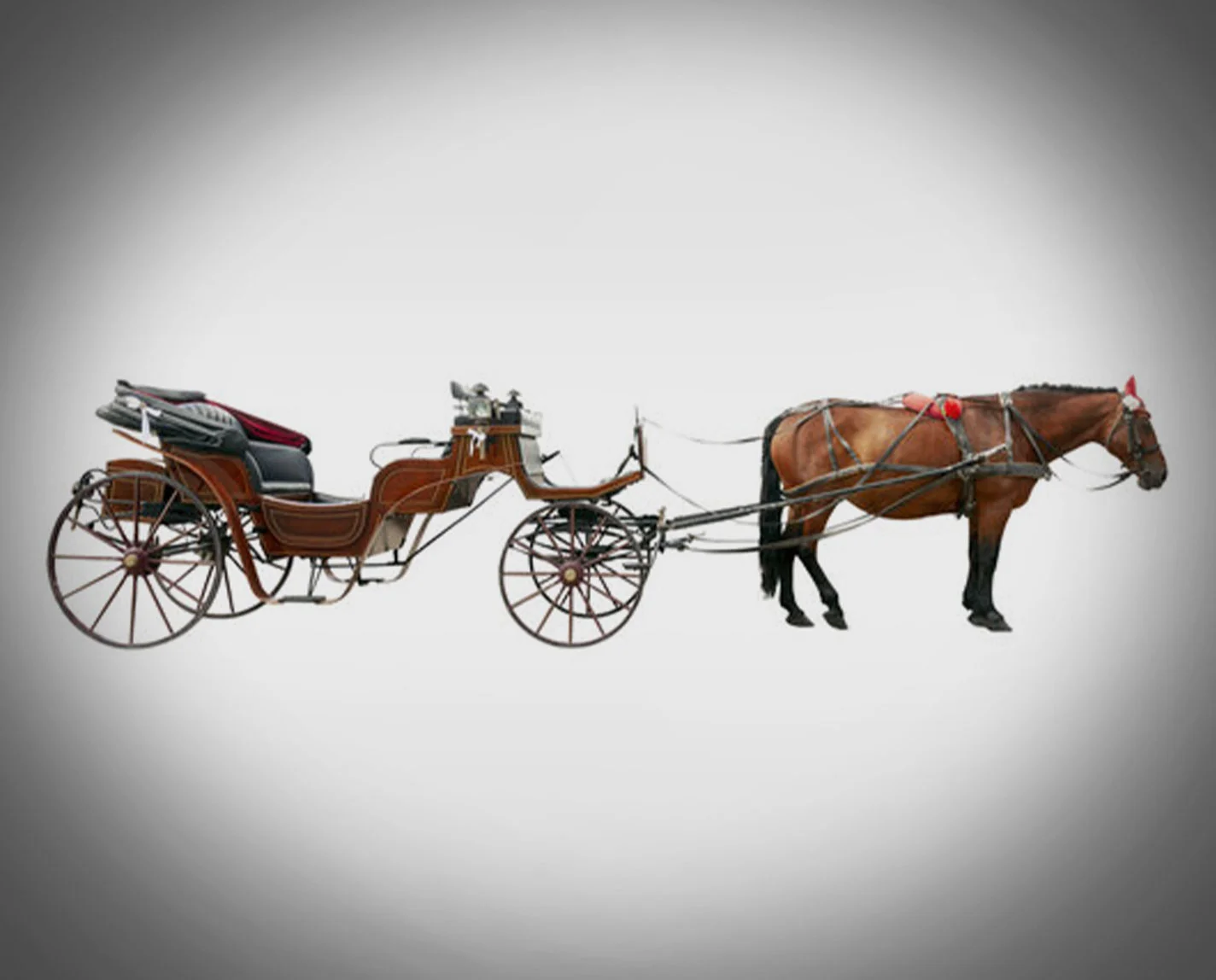 Horsing carriage